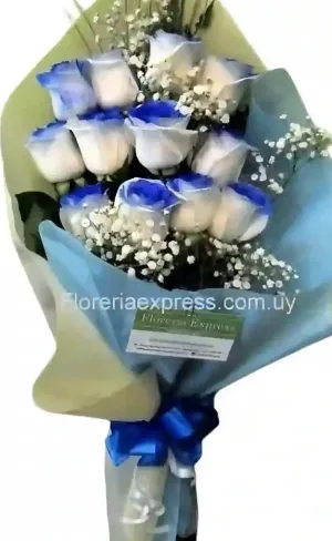 Ramo de 12 rosas azules