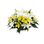Base de Liliums