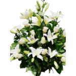 Canasta De 12 Rosas Blancas Y 10 Liliums Blancos