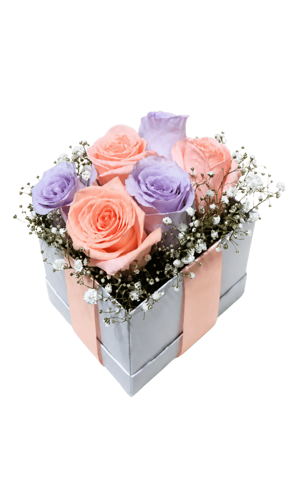 Cubo 6 rosas lavanda y beige Cubo 6 Rosas Lavanda Y Beige - Imagen 1