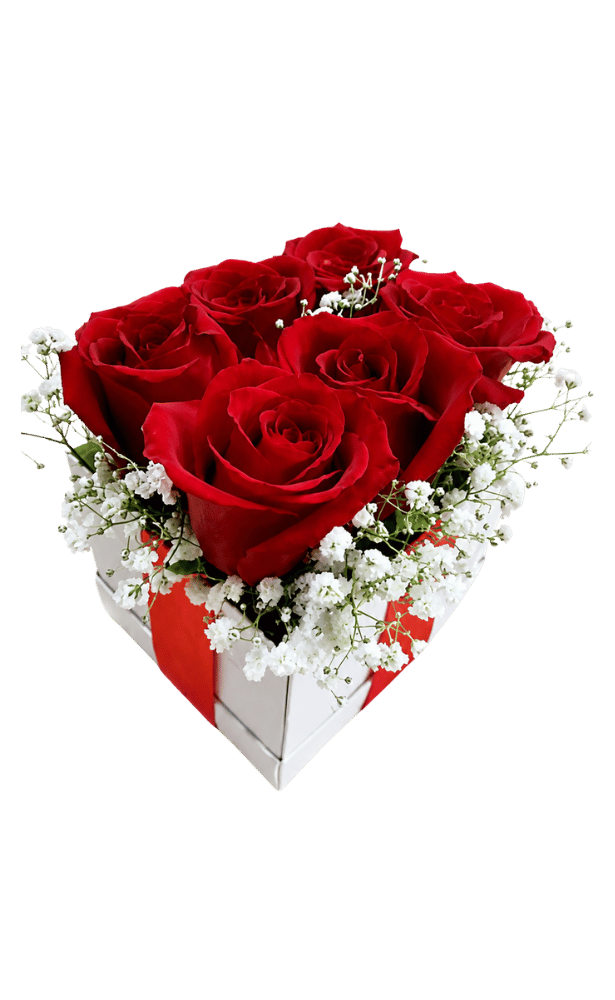 Cubo 6 rosas rojas Cubo 6 Rosas Rojas - Imagen 1