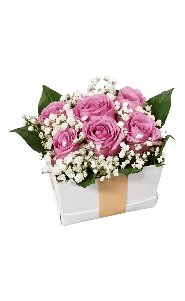 Cubo De 6 Rosas Lila Cubo De 6 Rosas Lila - Imagen 1