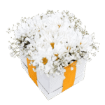 Cubo De Margaritas