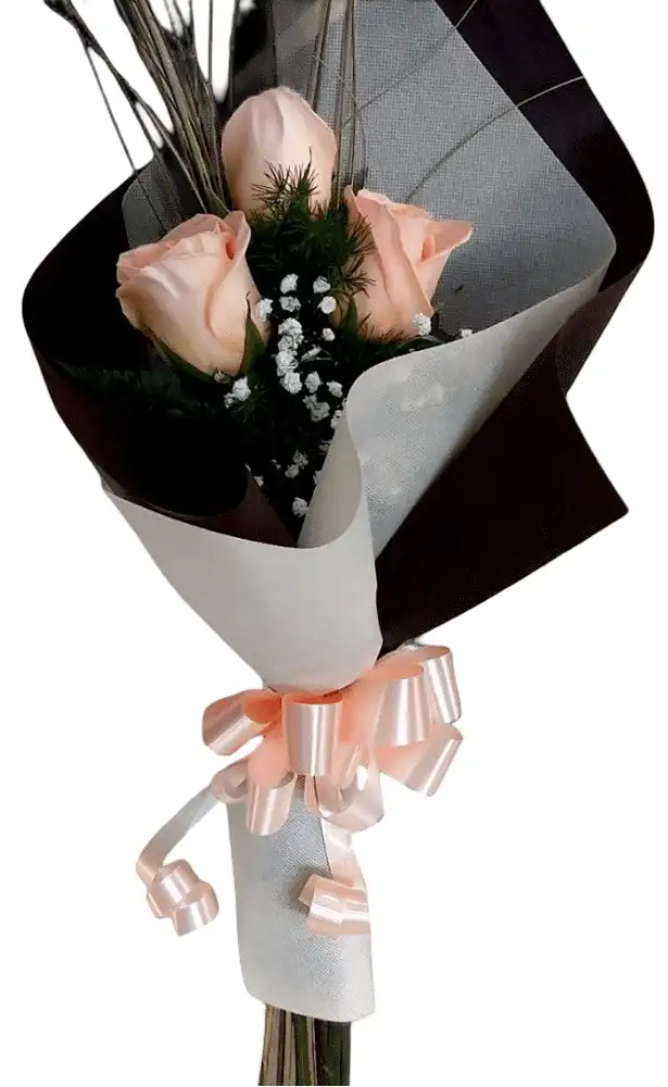 Ramo De 3 Rosas Beige Ramo De 3 Rosas Beige - Imagen 1
