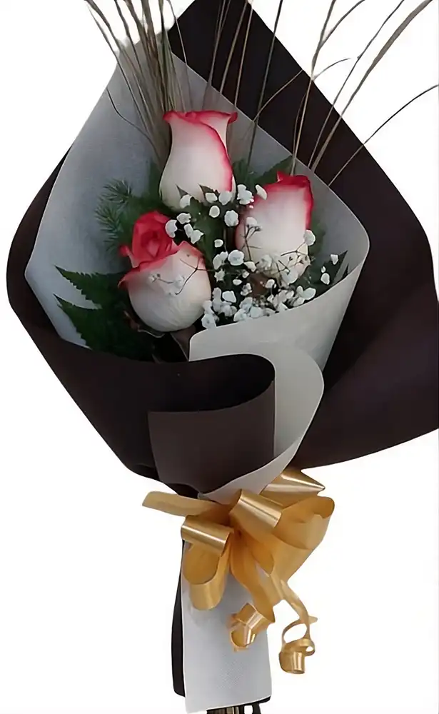 Ramo De 3 Rosas Matizadas Ramo De 3 Rosas Matizadas - Imagen 1