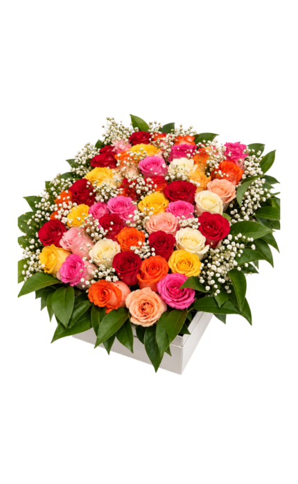 Cubo de 50 Rosas Multicolores